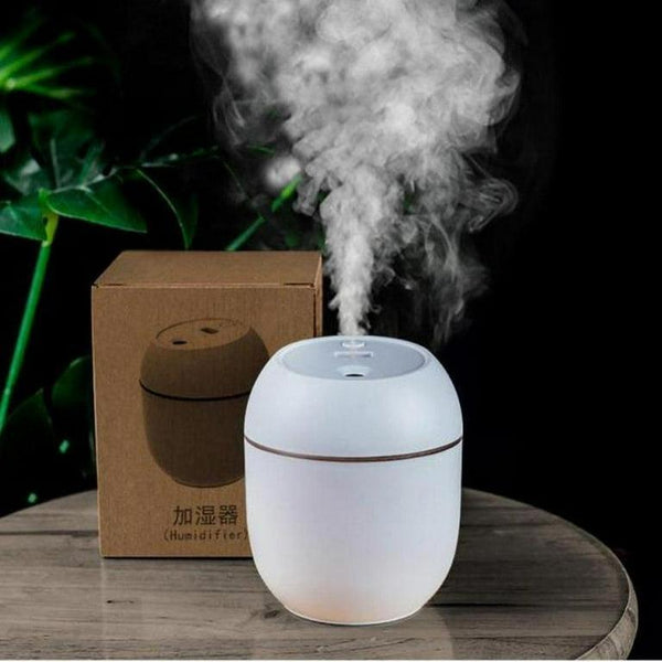 Foldable Air Humidifier Ravi Rang Collection