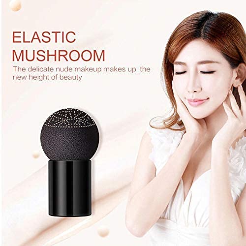 TYAGEN-II Sunisa 3 in 1 CC and BB Water Proof Foundation Concealer Cream with Air Cushion Mushroom Zainsar