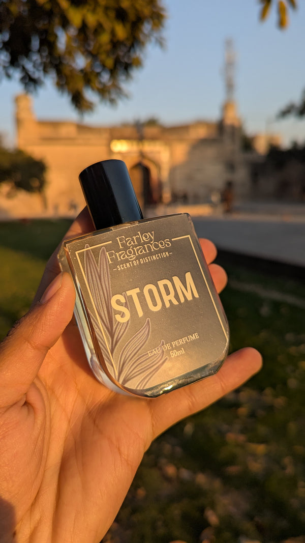 STORM - Inspired By Sauvage Dior Ravi Rang Collection