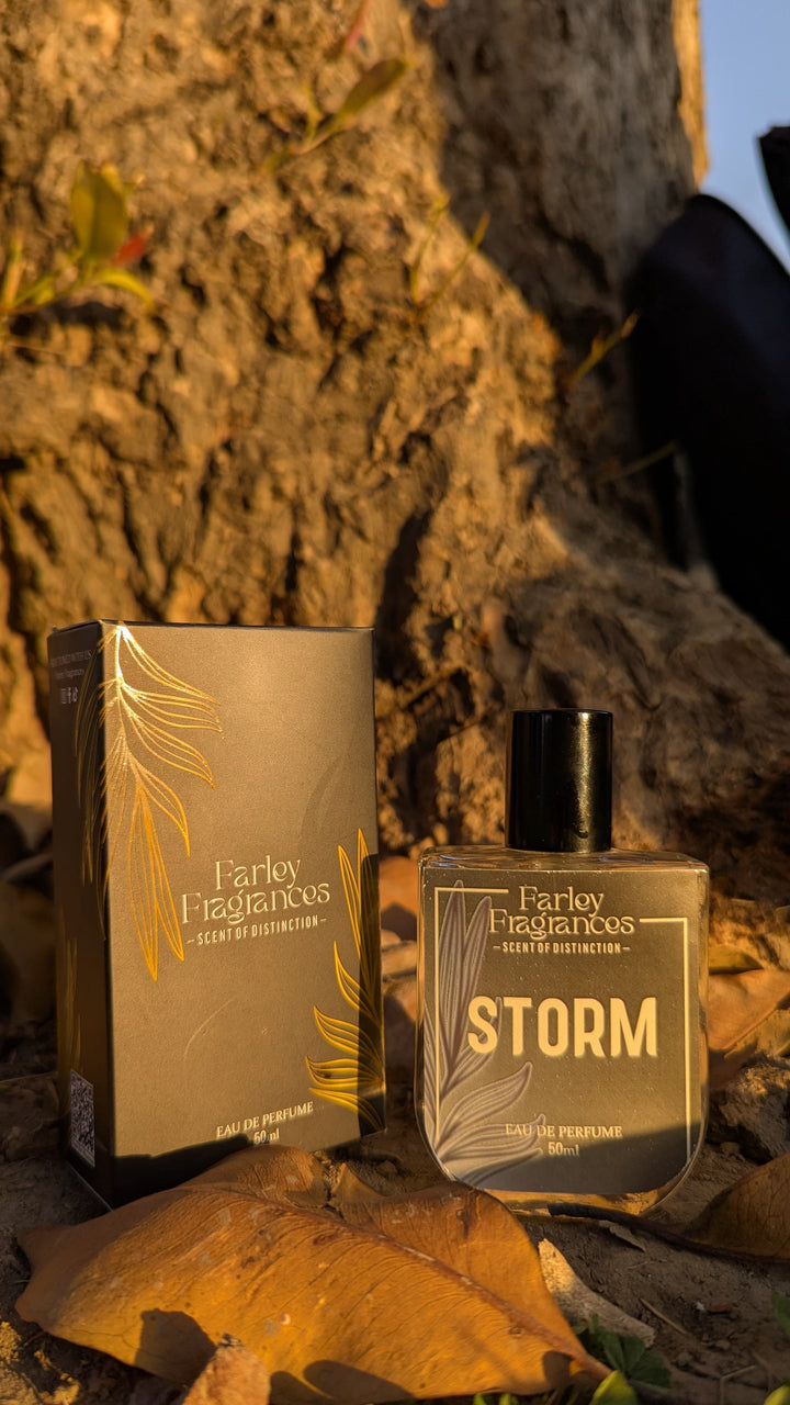 STORM - Inspired By Sauvage Dior Ravi Rang Collection